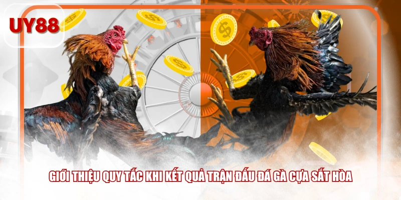 Giới thiệu quy tắc khi kết quả trận đấu đá gà cựa sắt hòa