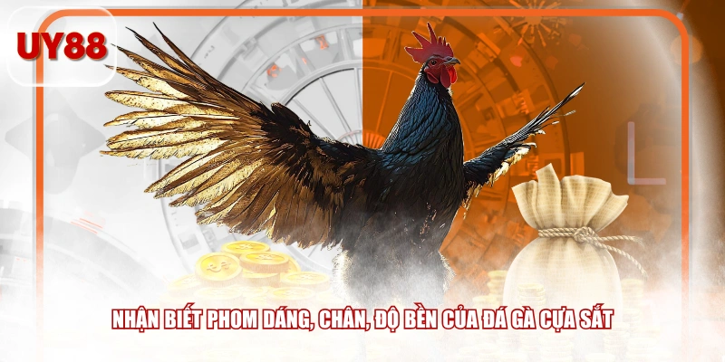 Nhận biết phom dáng, chân, độ bền của đá gà cựa sắt